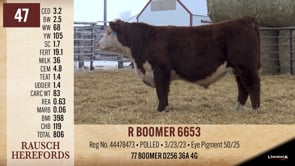 Lot #47 - R BOOMER 6653