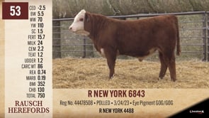 Lot #53 - R NEW YORK 6843