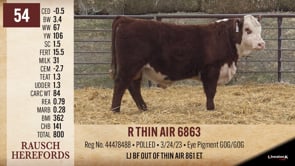 Lot #54 - R THIN AIR 6863