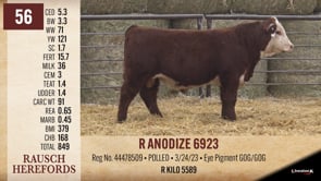 Lot #56 - R ANODIZE 6923