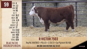Lot #59 - R VICTORR 7503