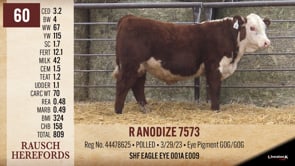 Lot #60 - R ANODIZE 7573