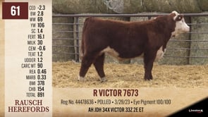 Lot #61 - R VICTOR 7673