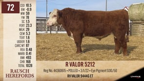 Lot #72 - R VALOR 5212