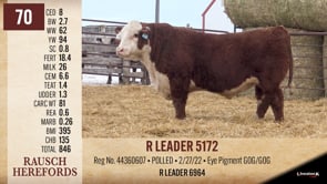 Lot #70 - R LEADER 5172