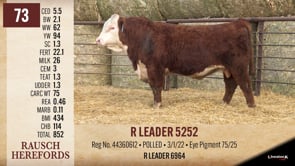 Lot #73 - R LEADER 5252