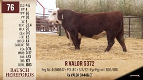 Lot #76 - R VALOR 5372