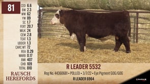 Lot #81 - R LEADER 5532