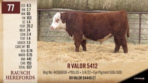 Lot #77 - R VALOR 5412