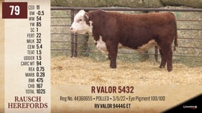 Lot #79 - R VALOR 5432