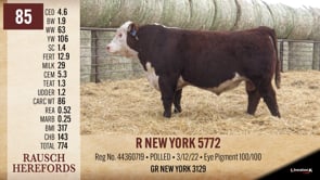 Lot #85 - R NEW YORK 5772