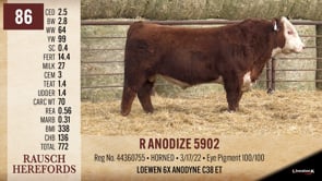 Lot #86 - R ANODIZE 5902