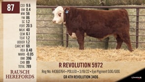 Lot #87 - R REVOLUTION 5972