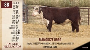 Lot #88 - R ANODIZE 5992