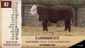 Lot #92 - R LANDMARK 6172