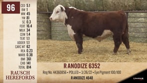 Lot #96 - R ANODIZE 6352