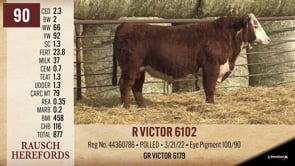 Lot #90 - R VICTOR 6102