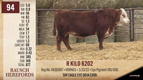 Lot #94 - R KILO 6202