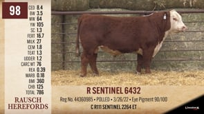 Lot #98 - R SENTINEL 6432