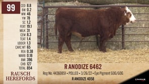 Lot #99 - R ANODIZE 6462