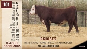Lot #101 - R KILO 6572