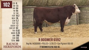 Lot #102 - R BOOMER 6592