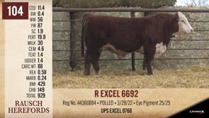 Lot #104 - R EXCEL 6692