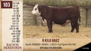 Lot #103 - R KILO 6662
