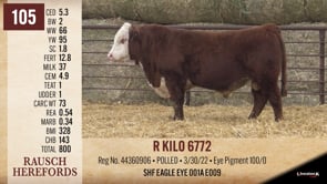 Lot #105 - R KILO 6772