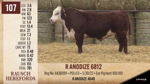 Lot #107 - R ANODIZE 6812