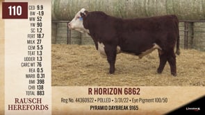 Lot #110 - R HORIZON 6862