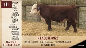Lot #111 - R ENCORE 6922