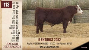 Lot #113 - R ENTRUST 7082