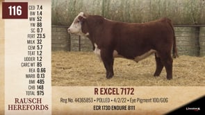 Lot #116 - R EXCEL 7172