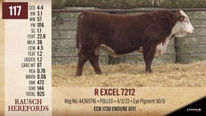Lot #117 - R EXCEL 7212