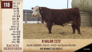 Lot #118 - R VALOR 7272
