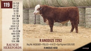 Lot #119 - R ANODIZE 7292