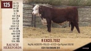 Lot #125 - R EXCEL 7552