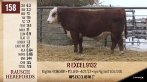 Lot #158 - R EXCEL 9132