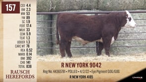 Lot #157 - R NEW YORK 9042
