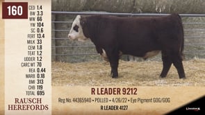 Lot #160 - R LEADER 9212