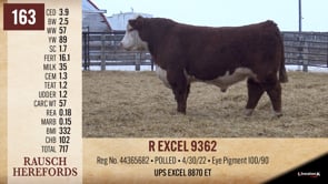 Lot #163 - R EXCEL 9362