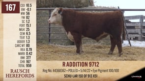 Lot #167 - R ADDITION 9712