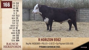 Lot #166 - R HORIZON 9562