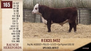 Lot #165 - R EXCEL 9452