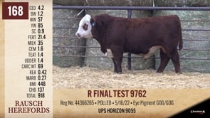 Lot #168 - R FINAL TEST 9762