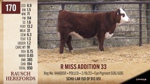 Lot #170 - R MISS ADDITION 33