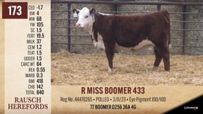 Lot #173 - R MISS BOOMER 433