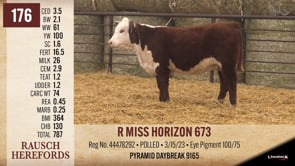 Lot #176 - R MISS HORIZON 673