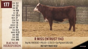 Lot #177 - R MISS ENTRUST 1143